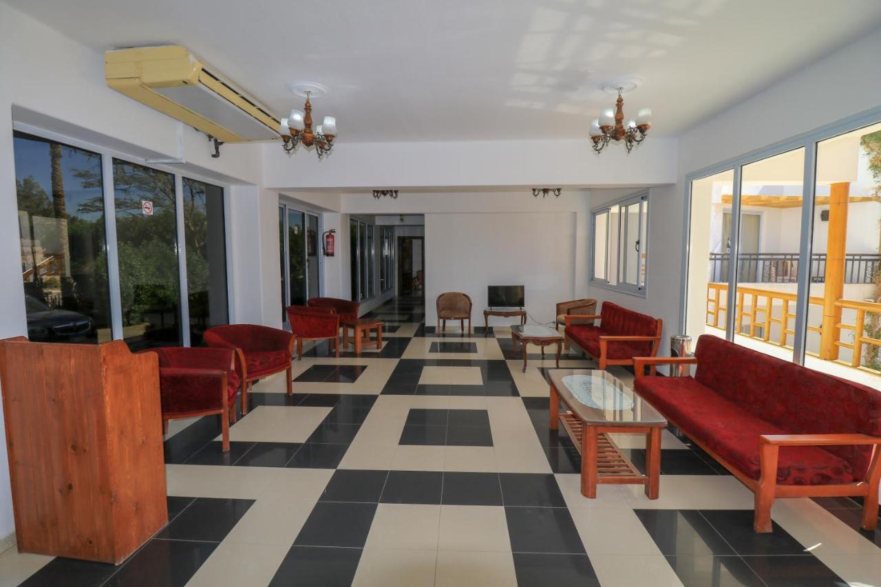 Panda Resort Dahab Exterior photo